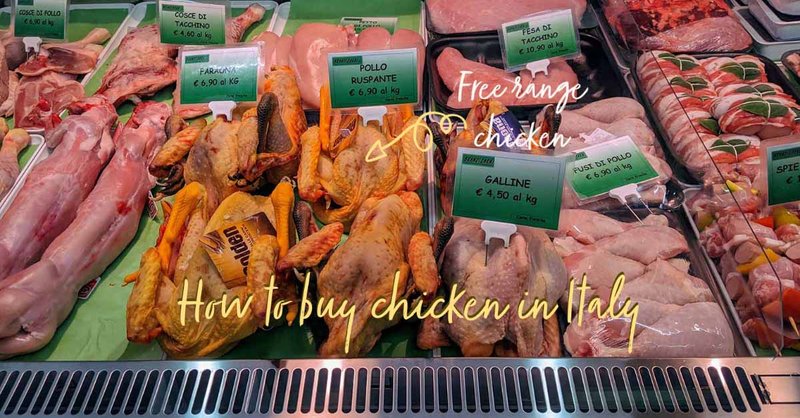 Chicken road gioco - Tutto quello che Devi Sapere sulla Via della Gallina in Italia